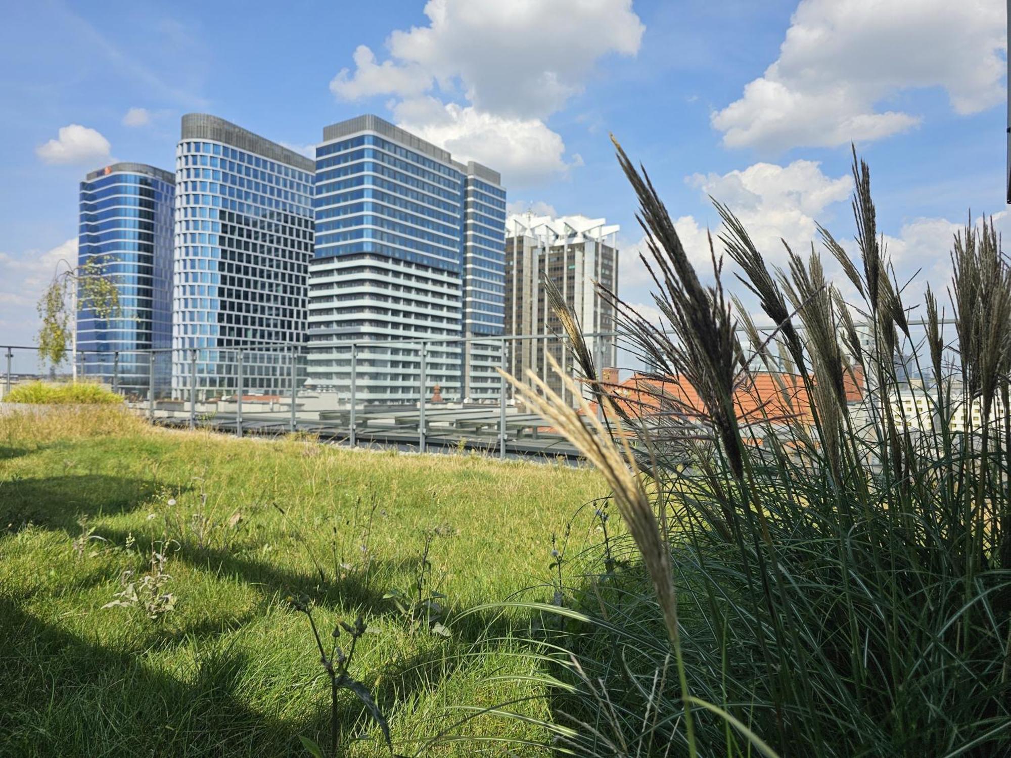 קטוביץ Urban Apartments Luxury Opolska 10 No 29, Free Garage, Self Check-In מראה חיצוני תמונה